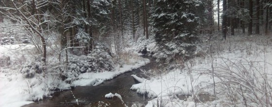 Czas pomyśleć o zrzuceniu zbędnych kalorii po Świętach…