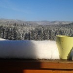 Kubek na balkonie z widokiem na las