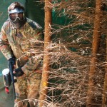 schowany za drzewami - podczas paintballu w górach