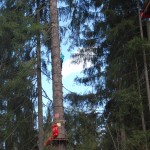 Nadrzewna Ścianka Wspinaczkowa, 18m wspinania. Jedyna w Beskidach