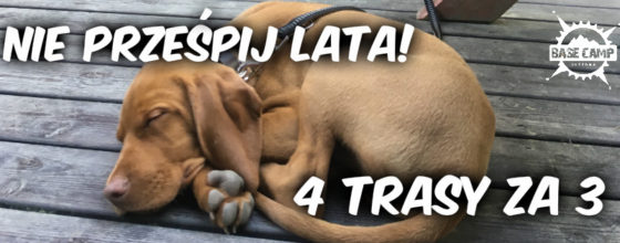Promocja 4 trasy za 3 w Parku Linowym Promocja 4 trasy za 3 w Parku Linowym